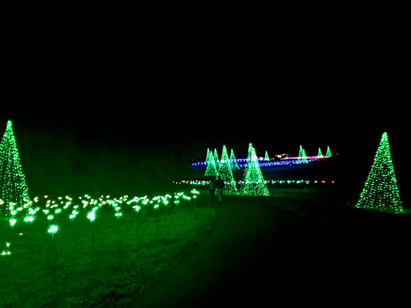 Christmas lights at Daniel Stowe Botanical Gardens